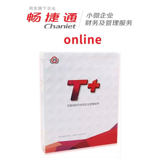 T+online云财税